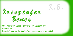 krisztofer benes business card